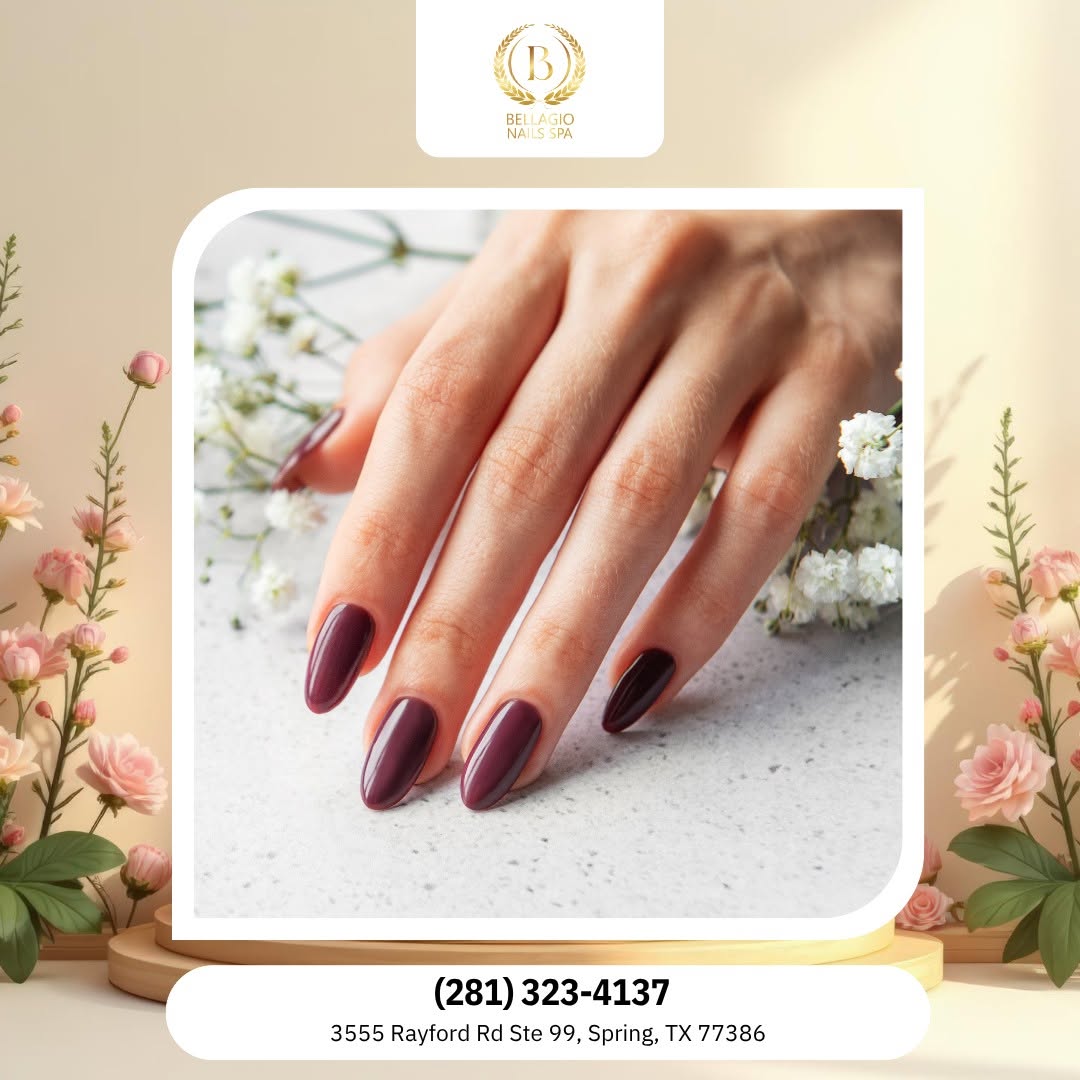 Instagram feed